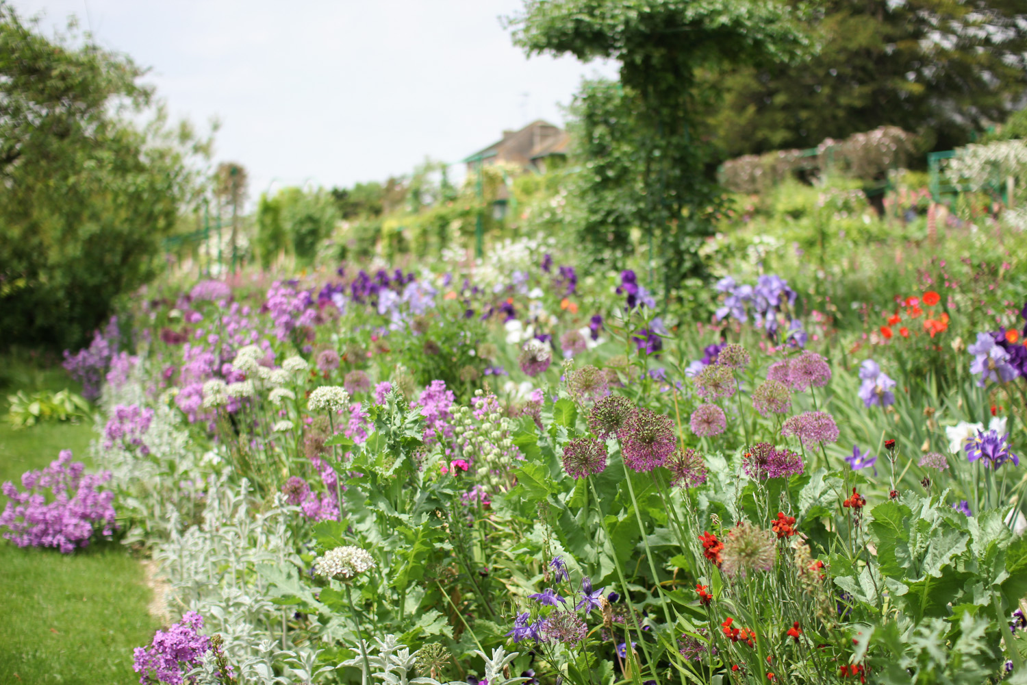 Flowers in Monet's Garden, Giverny