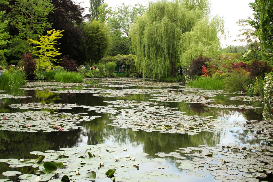 Waterlilies in Monet's Garden, Giverny Waterlilies in Monet's Garden, Giverny